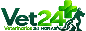 Vet24